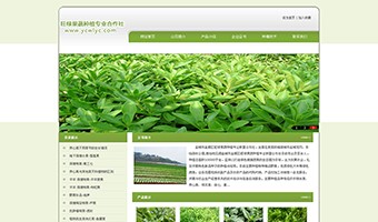 城市鹽都區(qū)旺綠果蔬種植專(zhuān)業(yè)合作社